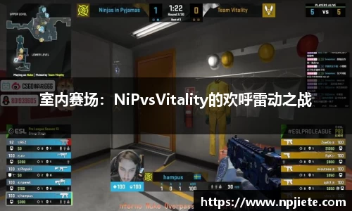 室内赛场：NiPvsVitality的欢呼雷动之战
